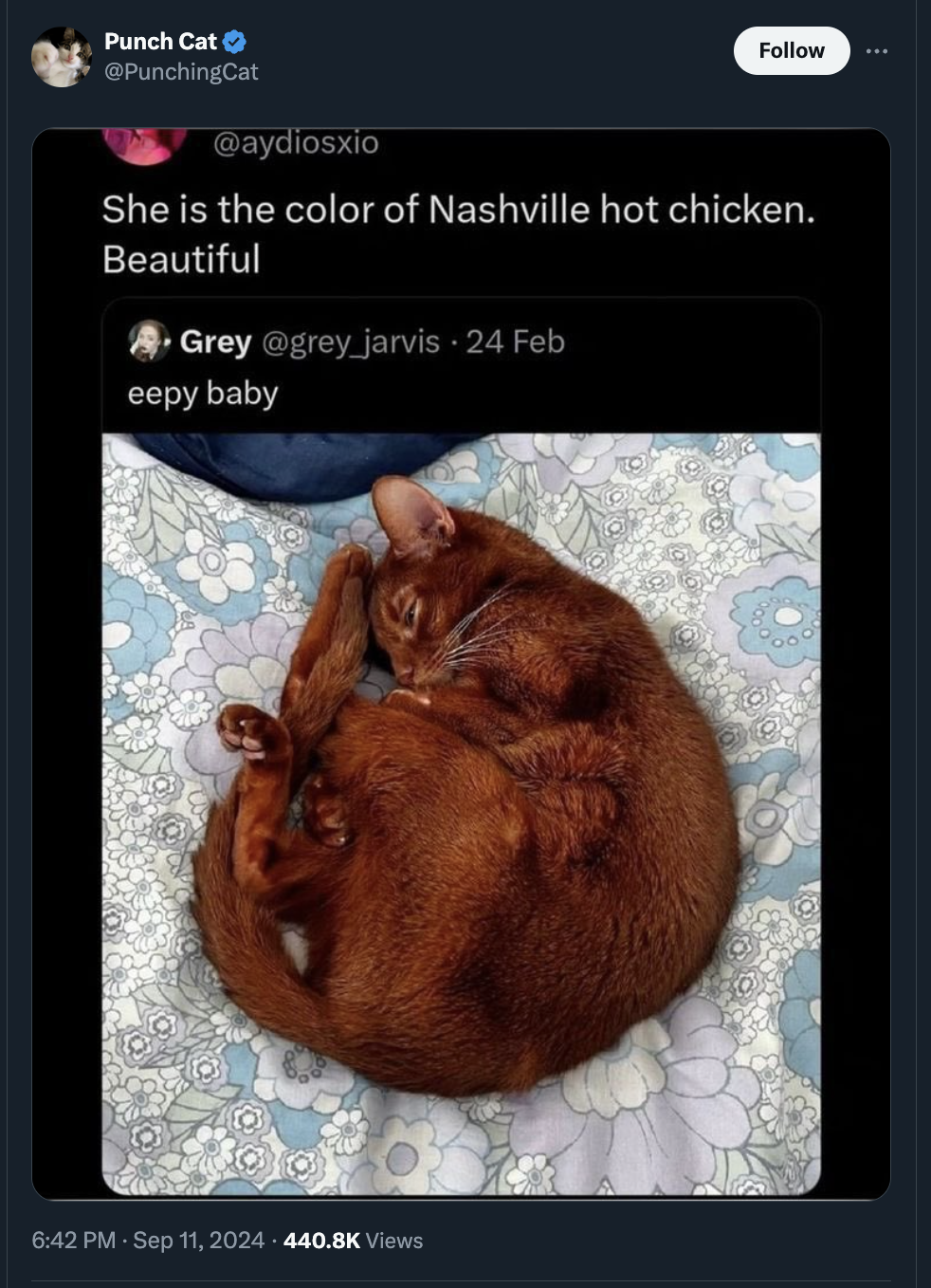 nashville hot chicken cat - Punch Cat She is the color of Nashville hot chicken. Beautiful Grey jarvis 24 Feb eepy baby Views